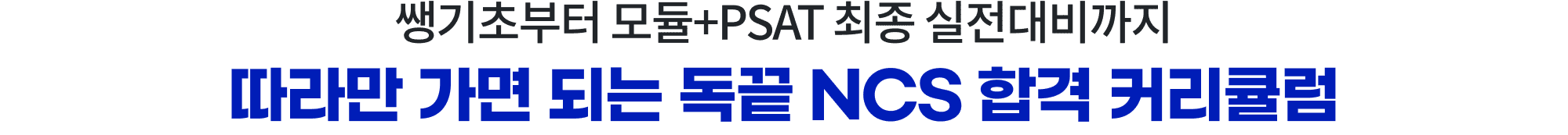 쌩기초부터 모듈+PSAT 최종 실전대비까지 따라만 가면 되는 독끝 NCS 합격 커리큘럼